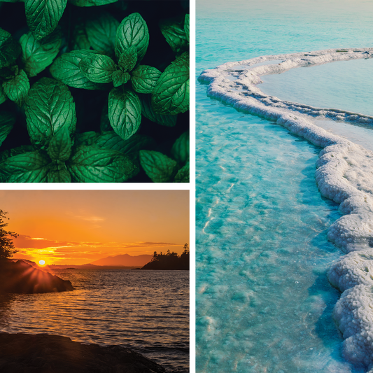 Coastal Reset Perfume | Mineral Air · Herbal Mint · Driftwood Smoke