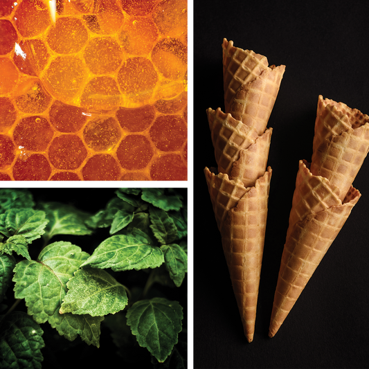 Francesca Perfume Vanilla Patchouli Musk