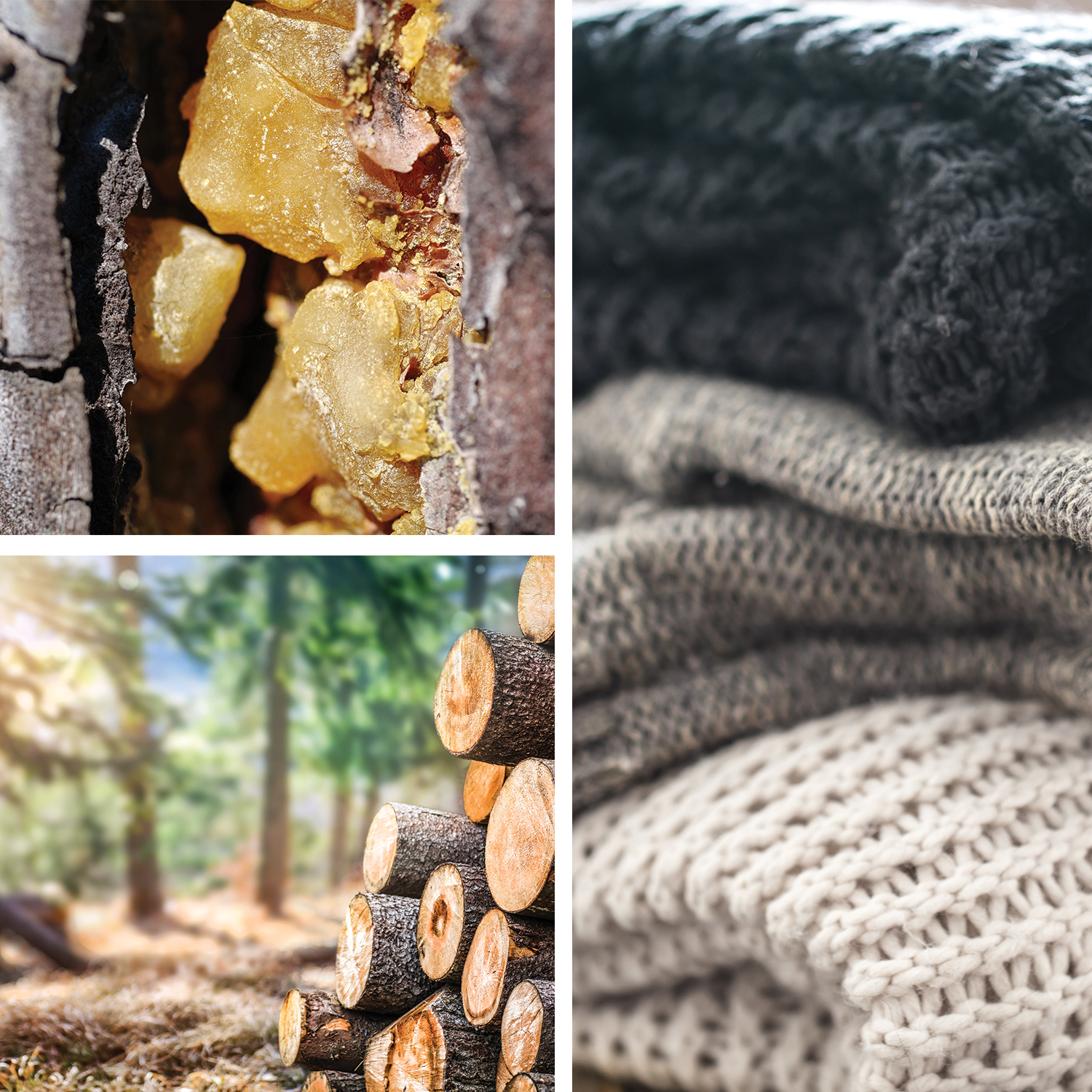 Tender Boughs {Pitch Gum + Pine} A Perfume Ode to The Log Lady