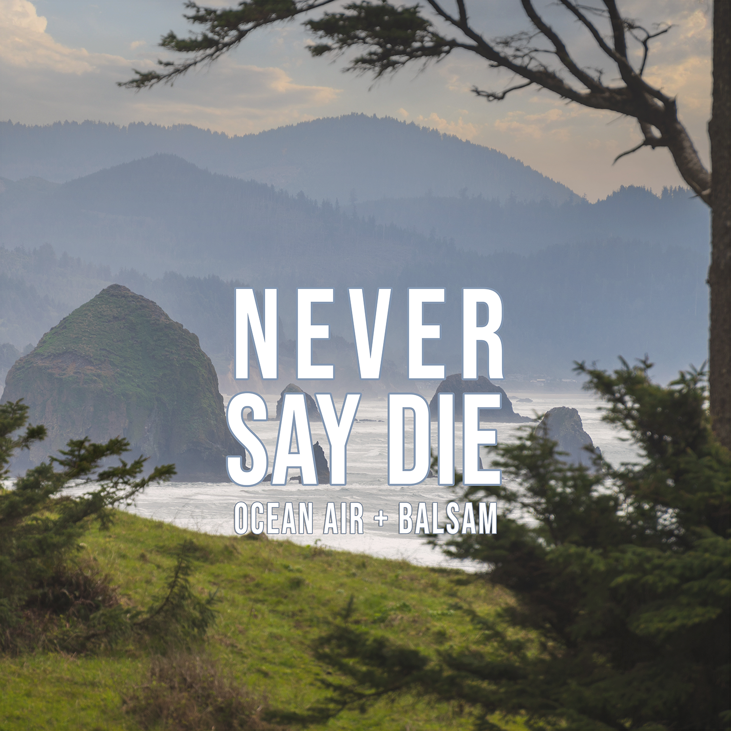Never say die... {Ocean Air + Balsam} Candle