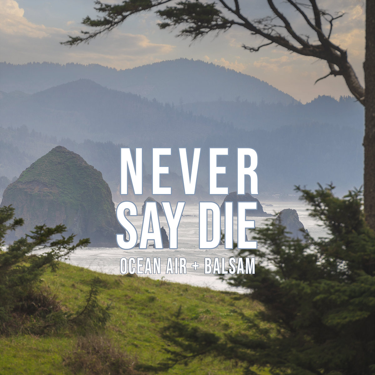 Never Say Die sea air and coastal pine candle by Great Northern Candle Co.