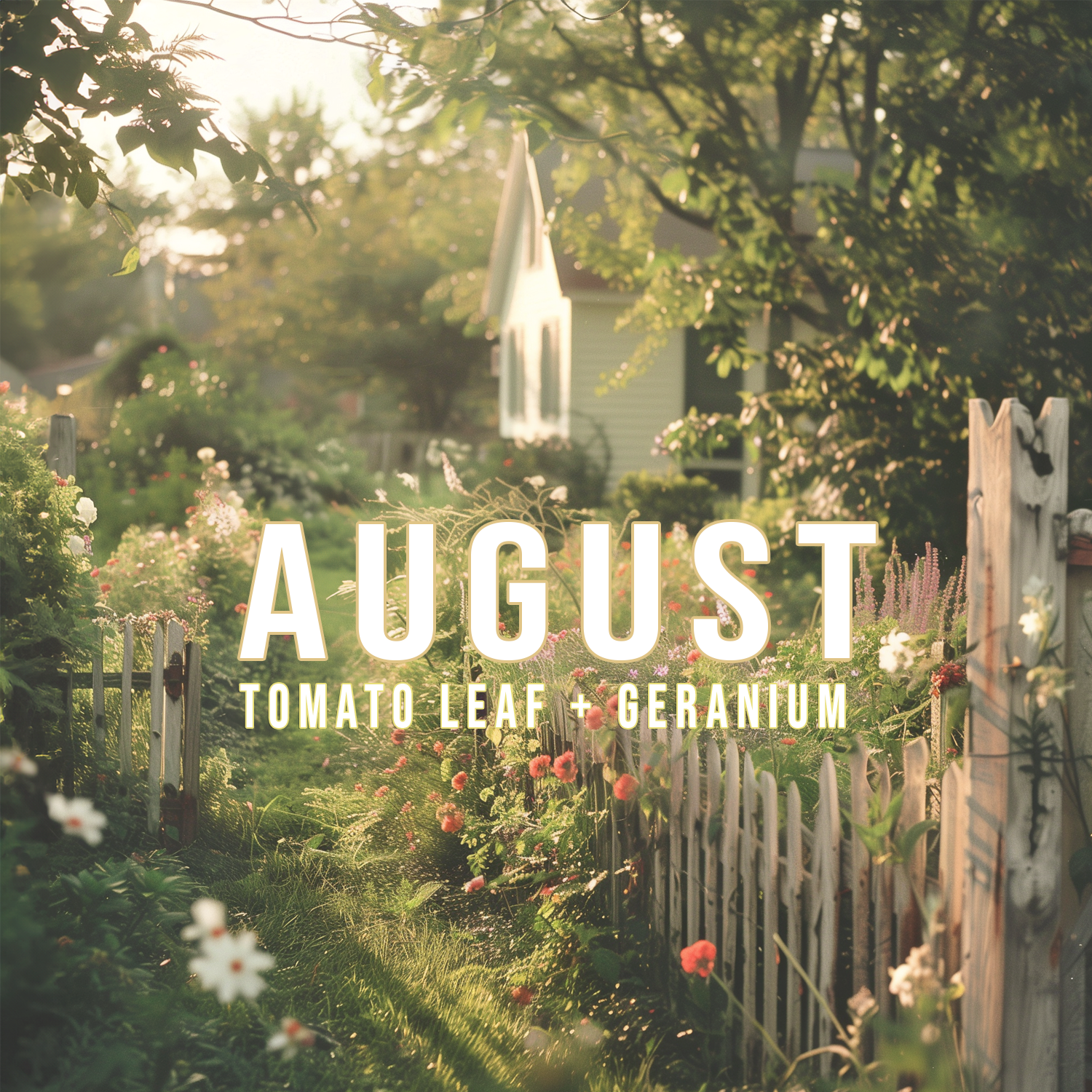 August {Tomato Leaf + Geranium}