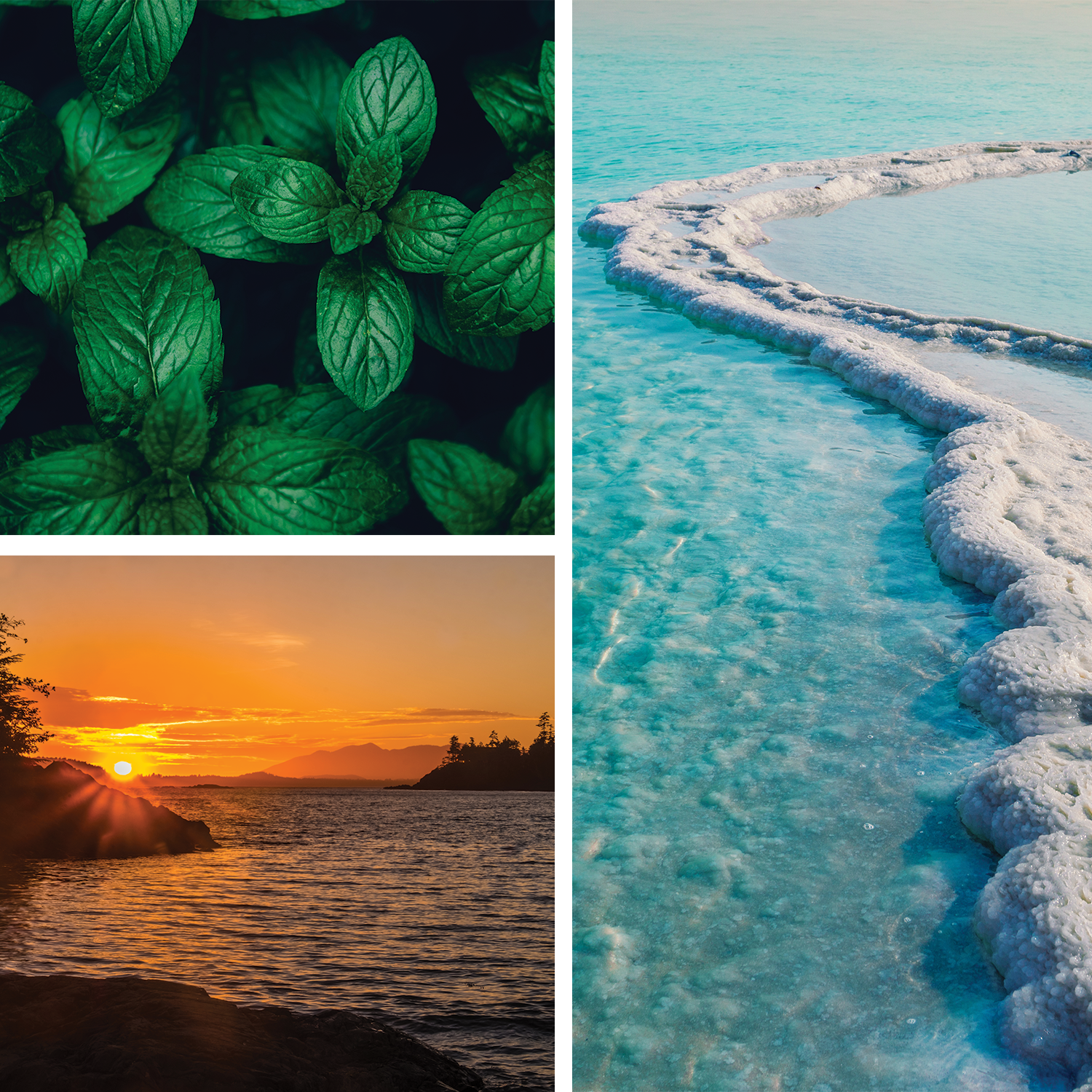 Coastal Reset {Sea Salt + Mint} Parfum
