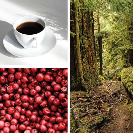 Cooper {Musk + Coffee Bean + Douglas Fir} Perfume