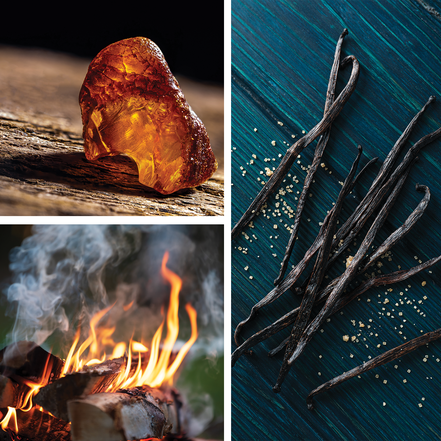 Eclipse {Smoked Birch + Amber} Perfume