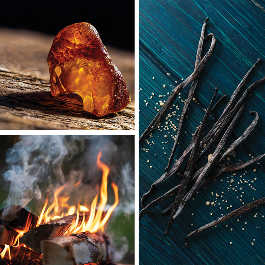 Eclipse {Smoked Birch + Amber} Perfume