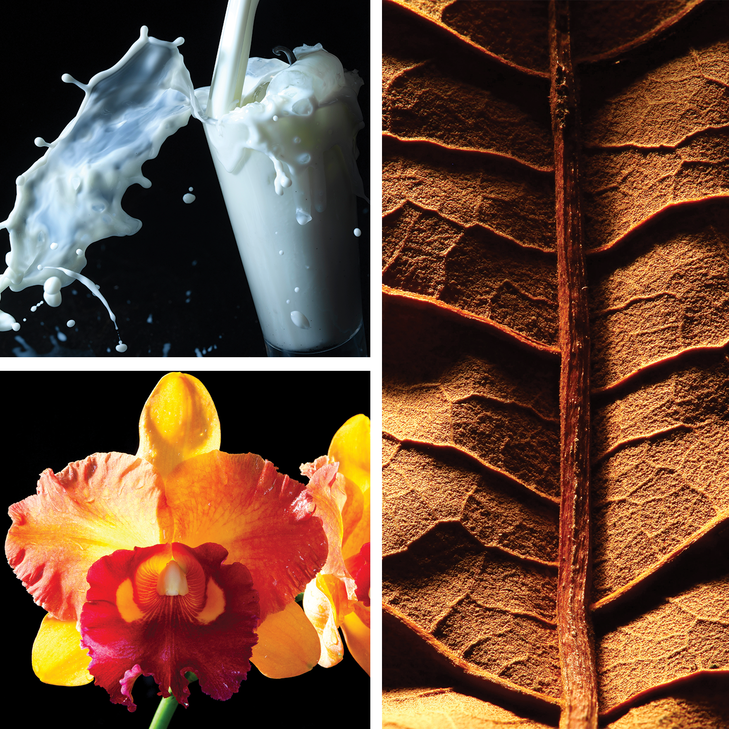 Josie {Tobacco Leaf + Vanilla Milk} Perfume