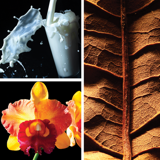 Josie {Tobacco Leaf + Vanilla Milk} Perfume