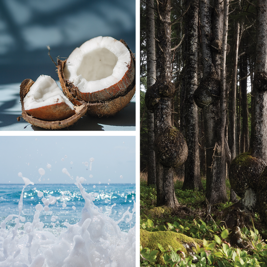 La Surf {Suntan Lotion + PNW Beach Days} Perfume