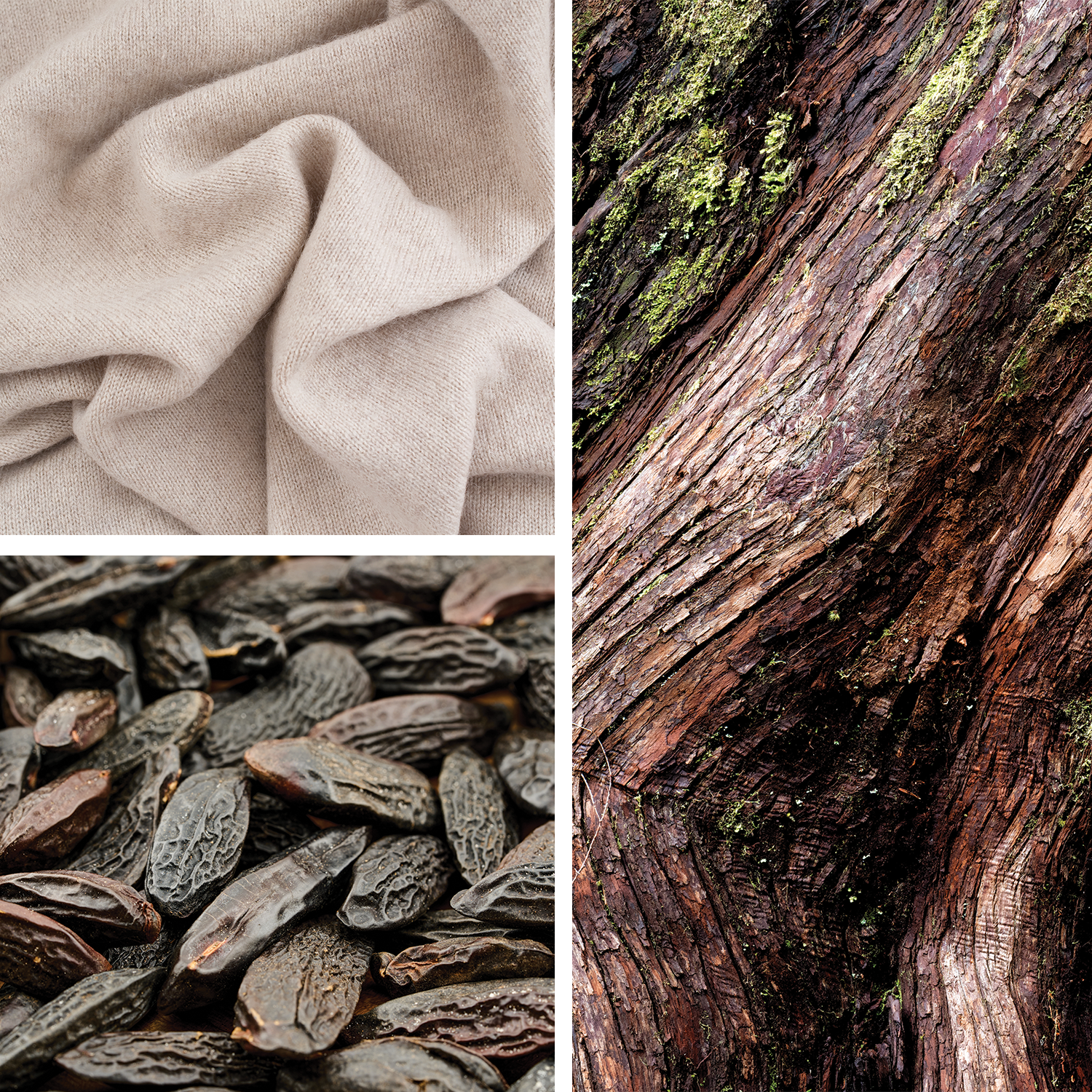 The Oracle {Cashmere + Cedarwood} Candle