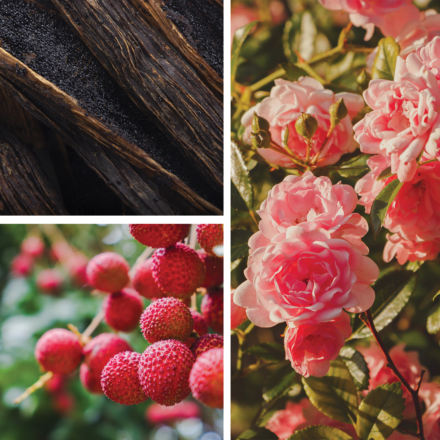 Isn't it too Dreamy? {Vanilla + Rose + Lychee} Audrey Inspired Perfume