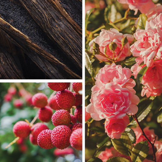 Isn't it too Dreamy? {Vanilla + Rose + Lychee} Audrey Inspired Perfume