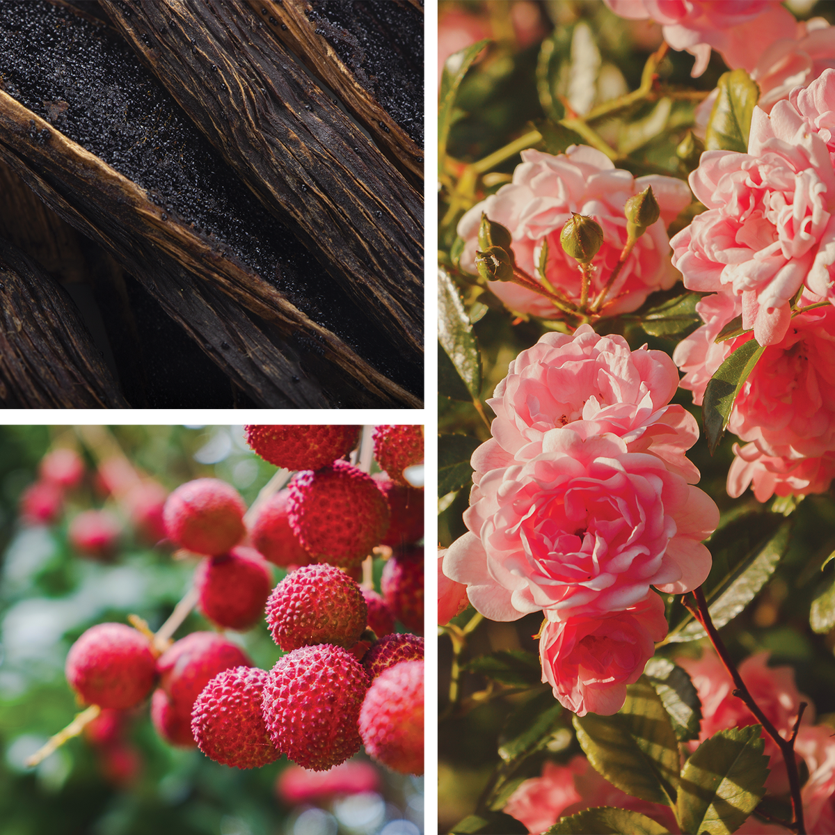 Too Dreamy Perfume Rose Vanilla Lychee Twin Peaks