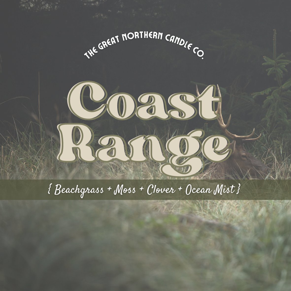 Coast Range | Spooky Season | Candle | Wax Melts | Perfume - Woodland Cottage