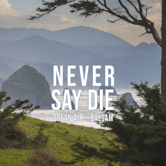 Never say die... | Ocean Air + Balsam